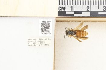 Media type: image;   Entomology 768515 Aspect: Labels